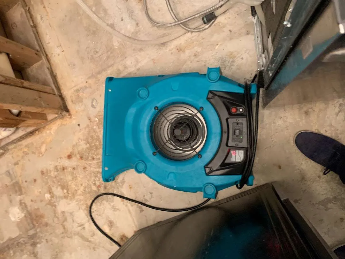 Air mover drying equipment for Mold Remediation & Removal in Bethesda