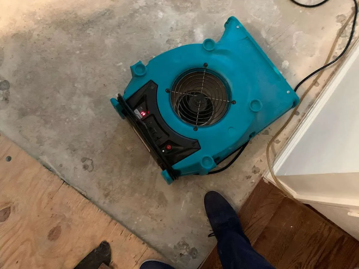 Air mover drying subfloor during Leak Detection & Repair in Bethesda